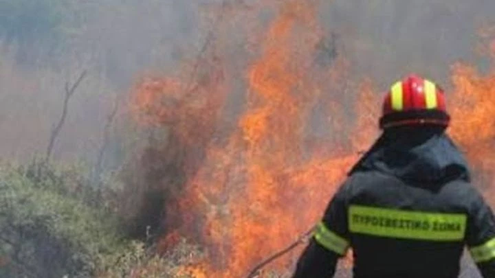 ΕΚΤΑΚΤΟ: Μεγάλη πυρκαγιά καίει δάσος στην Αρκαδία